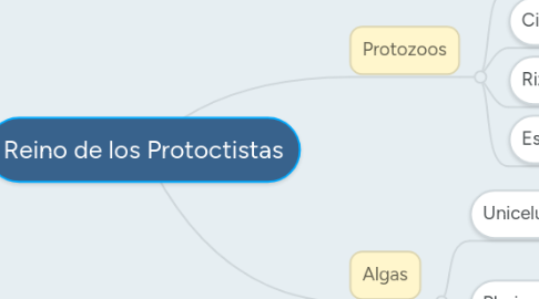 Mind Map: Reino de los Protoctistas