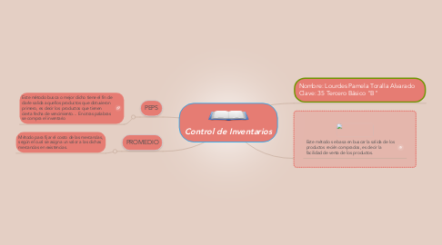 Mind Map: Control de Inventarios