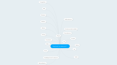 Mind Map: Hvad ved I om økonomi?".