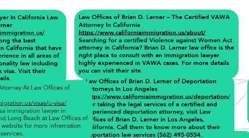 Mind Map: Law Offices of Brian D. Lerner