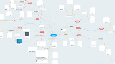 Mind Map: PARÁSITOS