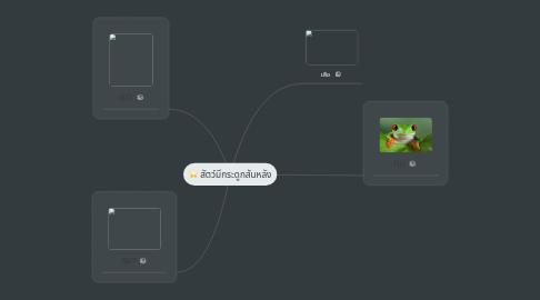 Mind Map: สัตว์มีกระดูกสันหลัง