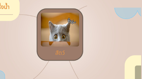 Mind Map: สัตว์