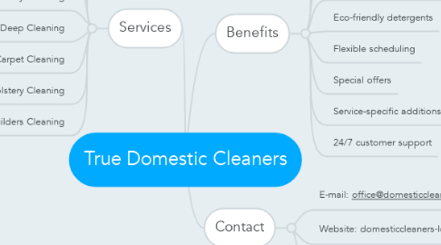 Mind Map: True Domestic Cleaners