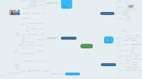 Mind Map: Fisioterapeuta como Gestor de proyectos