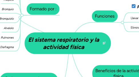 Mind Map: El sistema respiratorio y la actividad física