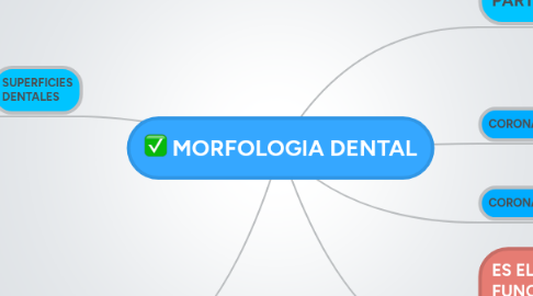 Mind Map: MORFOLOGIA DENTAL