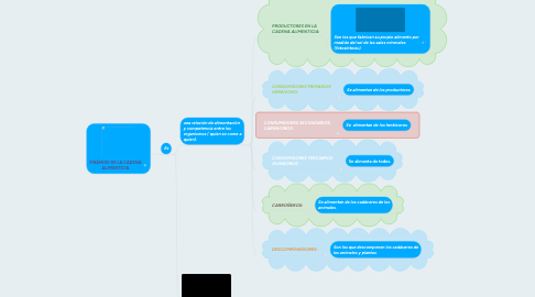 Mind Map: PIRÁMIDE DE LA CADENA ALIMENTICIA