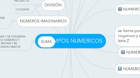 Mind Map: CAMPOS NUMERICOS