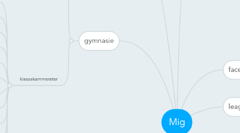 Mind Map: Mig