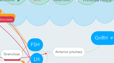 Mind Map: GnRH