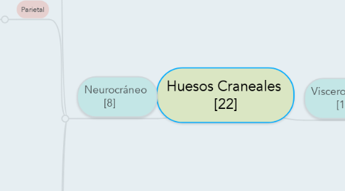 Mind Map: Huesos Craneales  [22]