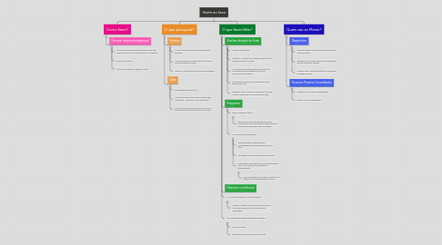 Mind Map: Visita ao lixao