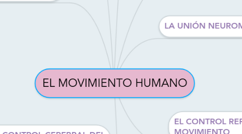 Mind Map: EL MOVIMIENTO HUMANO