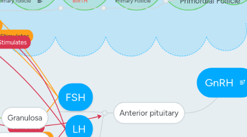 Mind Map: GnRH