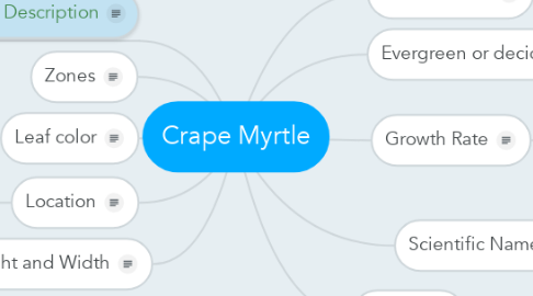 Mind Map: Crape Myrtle
