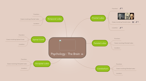 Mind Map: Psychology : The Brain