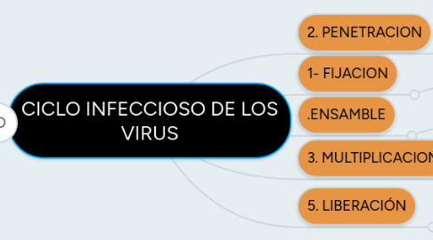 Mind Map: CICLO INFECCIOSO DE LOS VIRUS