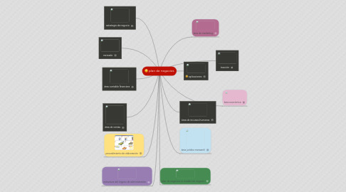 Mind Map: plan de negocios