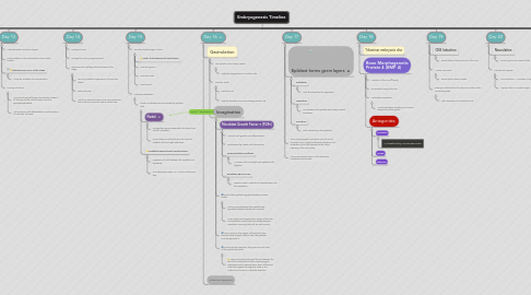 Mind Map: Embryogenesis Timeline