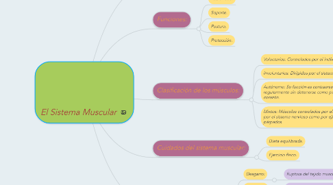 Mind Map: El Sistema Muscular