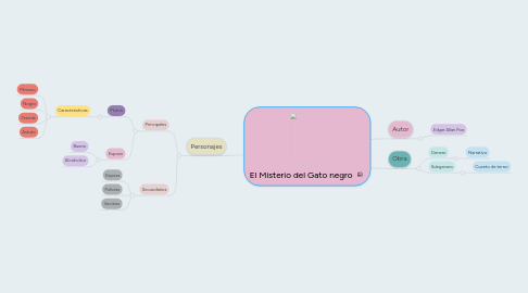 Mind Map: El Misterio del Gato negro