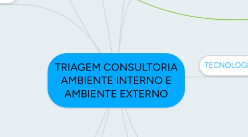 Mind Map: TRIAGEM CONSULTORIA AMBIENTE INTERNO E AMBIENTE EXTERNO