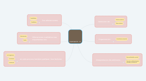 Mind Map: la percepcion.