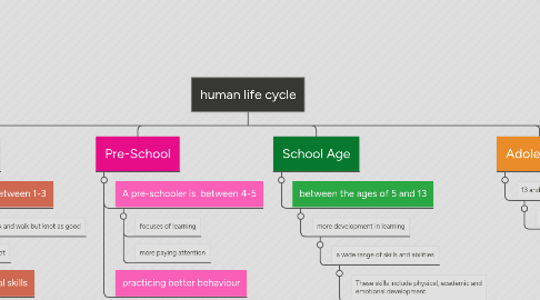 Mind Map: human life cycle