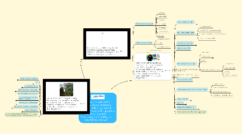 Mind Map: What can I do with a Life Sciences degree at Imperial College London? produced by Jane Pooler with support from Steve Connolly. Note! Click on '+' buttons to expand the mindmap!
