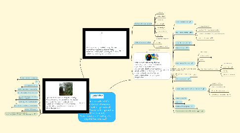 Mind Map: What can I do with a Life Sciences degree at Imperial College London?  produced by Jane Pooler with support from Steve Connolly.    Note!  Click on '+' buttons to expand the mindmap!