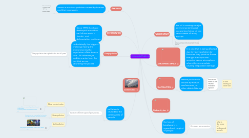 Mind Map: Enviromental Problems