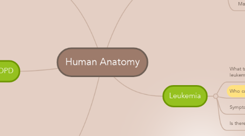 Mind Map: Human Anatomy