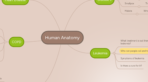 Mind Map: Human Anatomy