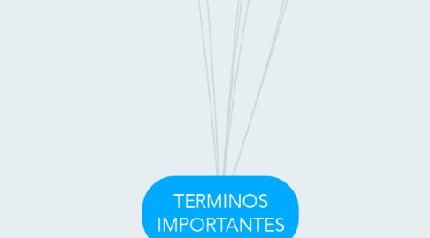 Mind Map: TERMINOS IMPORTANTES