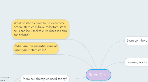 Mind Map: Stem Cells