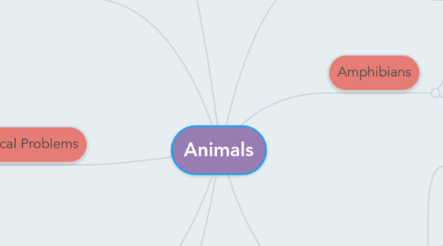 Mind Map: Animals