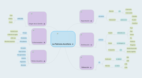 Mind Map: La Palmera Aceitera