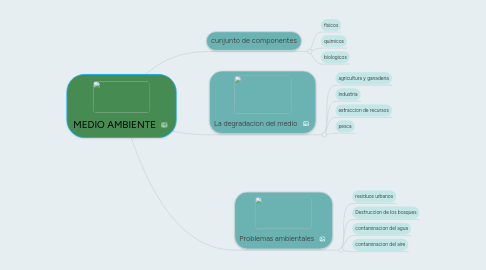 Mind Map: MEDIO AMBIENTE