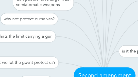 Mind Map: Second amendment