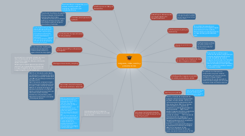 Mind Map: imágenes, video, sonido y presentaciones