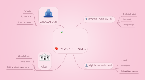 Mind Map: PAMUK PRENSES