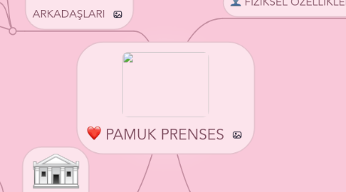 Mind Map: PAMUK PRENSES