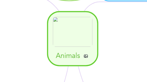 Mind Map: Animals