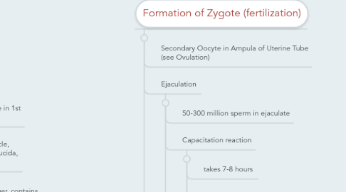 Mind Map: Embryology