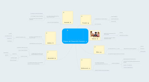 Mind Map: Etapas del Desarrollo Humano