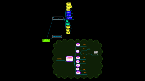 Mind Map: Protocolos de Comunicação