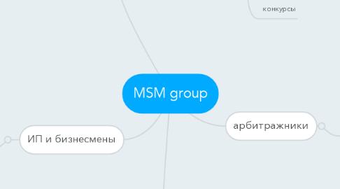 Mind Map: MSM group