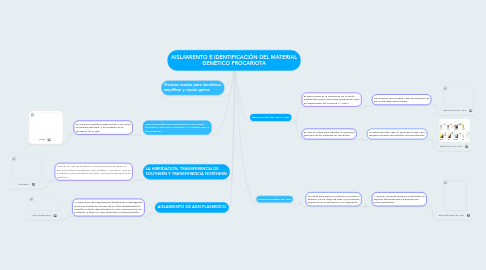 Mind Map: AISLAMIENTO E IDENTIFICACIÓN DEL MATERIAL GENÉTICO PROCARIOTA