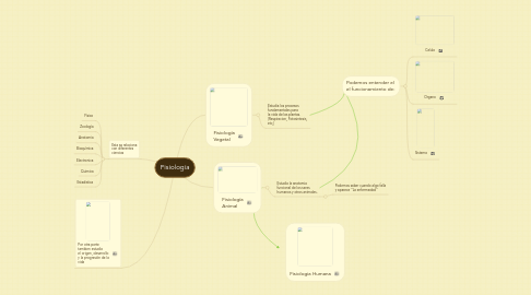 Mind Map: Fisiología